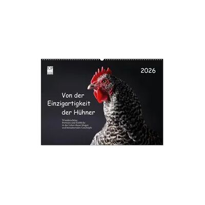 Von der Einzigartigkeit der Hühner 2026 (Wandkalender 2026 DIN A2 quer), CALVENDO Monatskalender Von der Einzigartigkeit der Hühner 2026 (Wandkalender 2026 DIN A2 quer), CALVENDO Monatskalender