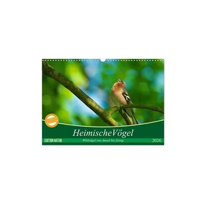 Heimische Vögel (Wandkalender 2026 DIN A3 quer), CALVENDO Monatskalender Heimische Vögel (Wandkalender 2026 DIN A3 quer), CALVENDO Monatskalender