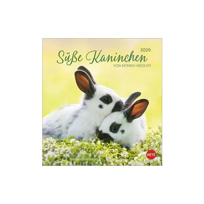 Heye Süße Kaninchen Postkartenkalender 2026 Heye Süße Kaninchen Postkartenkalender 2026