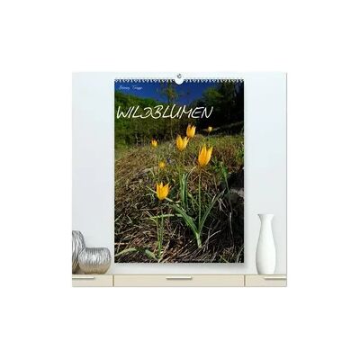 Calvendo WILDBLUMEN (hochwertiger Premium Wandkalender 2026 DIN A2 hoch), Kunstdruck in Hochglanz Calvendo WILDBLUMEN (hochwertiger Premium Wandkalender 2026 DIN A2 hoch), Kunstdruck in Hochglanz