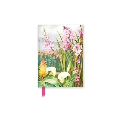 Browntrout Premium Notizbuch DIN A5: Marianne North, Prachtexemplare in den Sümpfen bei Tulbagh Browntrout Premium Notizbuch DIN A5: Marianne North, Prachtexemplare in den Sümpfen bei Tulbagh