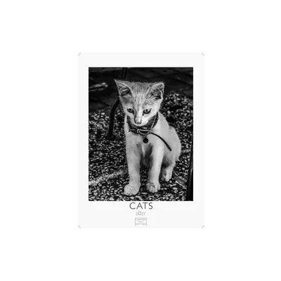 ART Cats schwarz-weiss Kalender 2027 – Wandkalender Fotokalender Tierkalender schwarz-weiss 29x21cm - Katzenkalender Perfekt für Katzenliebhaber und Tierkalenderfans ART Cats schwarz-weiss Kalender 2027 – Wandkalender Fotokalender Tierkalender schwarz-weiss 29x21cm - Katzenkalender Perfekt für Katzenliebhaber und Tierkalenderfans