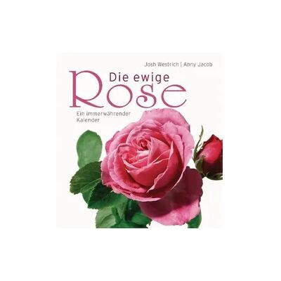 Bassermann Die ewige Rose Bassermann Die ewige Rose