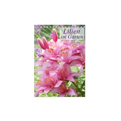 Lilien im Garten (Tischkalender 2026 DIN A5 hoch), CALVENDO Monatskalender Lilien im Garten (Tischkalender 2026 DIN A5 hoch), CALVENDO Monatskalender
