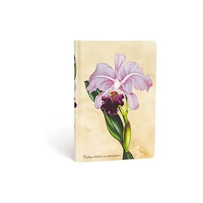 Paperblanks Hardcover Notizbuch Brasilianische Orchidee, Mini, Liniert Paperblanks Hardcover Notizbuch Brasilianische Orchidee, Mini, Liniert
