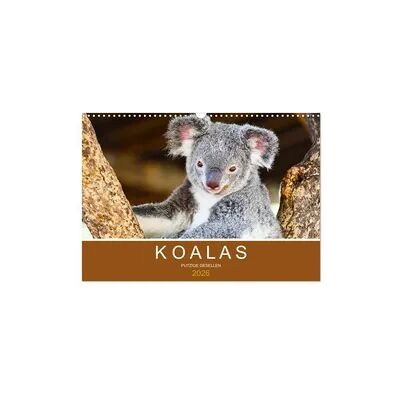 Koalas, putzige Gesellen (Wandkalender 2026 DIN A3 quer), CALVENDO Monatskalender Koalas, putzige Gesellen (Wandkalender 2026 DIN A3 quer), CALVENDO Monatskalender