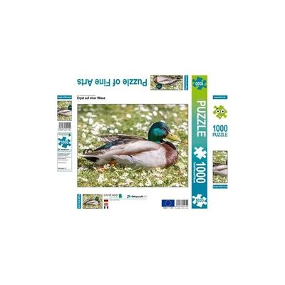 CALVENDO Puzzle Erpel auf einer Wiese 1000 Teile Lege-Größe 64x48cm Foto-Puzzle für glückliche Stunden CALVENDO Puzzle Erpel auf einer Wiese 1000 Teile Lege-Größe 64x48cm Foto-Puzzle für glückliche Stunden