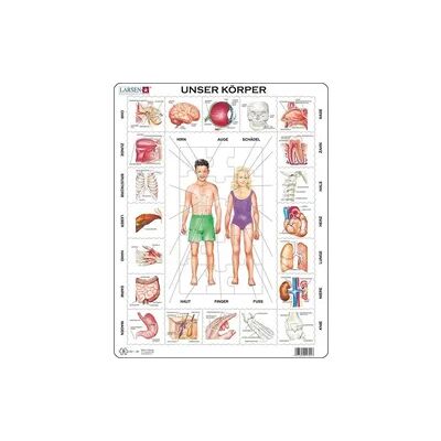 Larsen Puzzle Rahmen - Der Menschliche Körper 35 Teile Larsen Puzzle Rahmen - Der Menschliche Körper 35 Teile