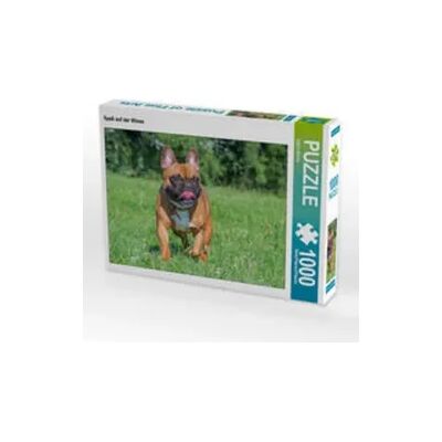 CALVENDO Puzzle Spaß auf der Wiese 1000 Teile Lege-Größe 64x48cm Foto-Puzzle für glückliche Stunden CALVENDO Puzzle Spaß auf der Wiese 1000 Teile Lege-Größe 64x48cm Foto-Puzzle für glückliche Stunden