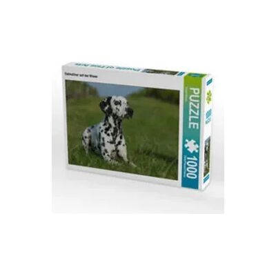 CALVENDO Puzzle Dalmatiner auf der Wiese 1000 Teile Lege-Größe 64x48cm Foto-Puzzle für glückliche Stunden CALVENDO Puzzle Dalmatiner auf der Wiese 1000 Teile Lege-Größe 64x48cm Foto-Puzzle für glückliche Stunden