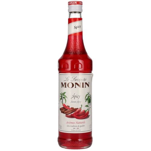 Le Sirop de Monin SPICY 0,7l