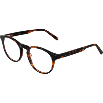 Pepe Jeans Brillenfassung PJ3534 106 51 Braun Einheitsgröße Pepe Jeans Brillenfassung PJ3534 106 51 Braun Einheitsgröße