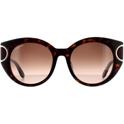 Salvatore Ferragamo Cat Eye Womens Schildpatt Braun Gradient Sonnenbrillen Braun Einheitsgröße Salvatore Ferragamo Cat Eye Womens Schildpatt Braun Gradient Sonnenbrillen Braun Einheitsgröße