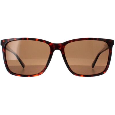 Timberland TB9280-H 52H dunkel havannabraun polarisierte Sonnenbrille Braun Einheitsgröße Timberland TB9280-H 52H dunkel havannabraun polarisierte Sonnenbrille Braun Einheitsgröße