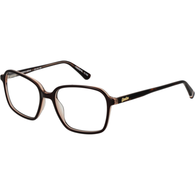 Superdry Brillenfassung SDO-NADARE 103 53 Braun Einheitsgröße Superdry Brillenfassung SDO-NADARE 103 53 Braun Einheitsgröße