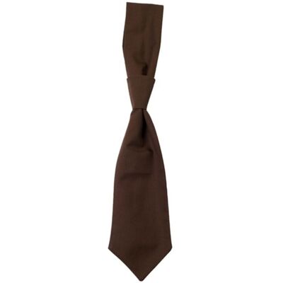 CG Workwear - "Messina" Krawatte (Toffee) Mehrfarben Einheitsgröße CG Workwear - "Messina" Krawatte (Toffee) Mehrfarben Einheitsgröße