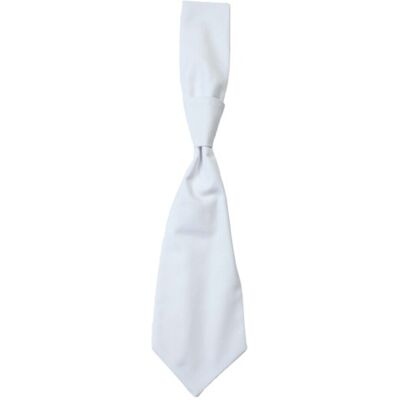 CG Workwear - "Messina" Krawatte (Weiß) Weiß Einheitsgröße CG Workwear - "Messina" Krawatte (Weiß) Weiß Einheitsgröße
