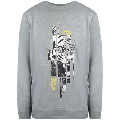 Cavalli Class - Graues Sweatshirt Mit Zersplittertem Tiger-print Grau M Cavalli Class - Graues Sweatshirt Mit Zersplittertem Tiger-print Grau M