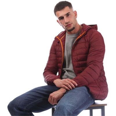 Aquascutum - Steppjacke für Herren (Bordeaux) Burgund S Aquascutum - Steppjacke für Herren (Bordeaux) Burgund S