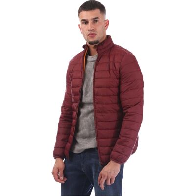 Aquascutum - Steppjacke für Herren (Bordeaux) Burgund 2XL Aquascutum - Steppjacke für Herren (Bordeaux) Burgund 2XL