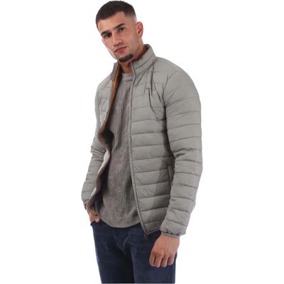 Aquascutum - Steppjacke für Herren (Grau) Grau XL Aquascutum - Steppjacke für Herren (Grau) Grau XL