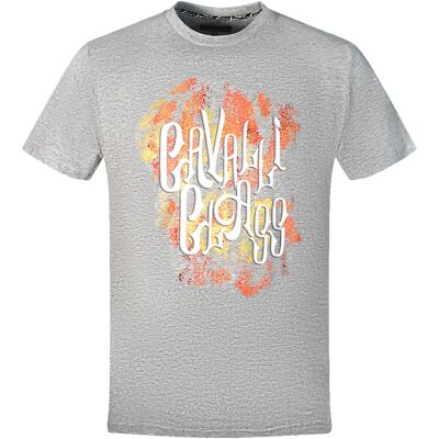 Cavalli Class Kühnes Logo Graues T-Shirt Grau 2XL Cavalli Class Kühnes Logo Graues T-Shirt Grau 2XL