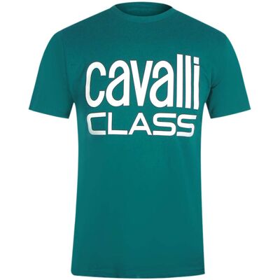 Grünes T-shirt Der Marke Cavalli Class Grün 2XL Grünes T-shirt Der Marke Cavalli Class Grün 2XL