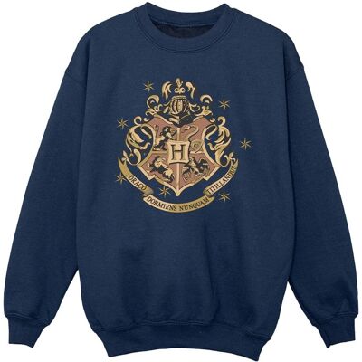 Harry Potter - Sweatshirt für Mädchen (Marineblau) Marine 3-4A / 98-104cm Harry Potter - Sweatshirt für Mädchen (Marineblau) Marine 3-4A / 98-104cm