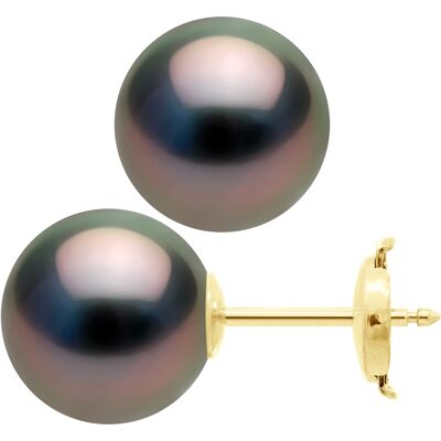Ateliers Saint Germain Ohrringe - Gelbgold 375 - Echte Tahiti-Zuchtperlen rund 10-11 mm Gelb Einheitsgröße Ateliers Saint Germain Ohrringe - Gelbgold 375 - Echte Tahiti-Zuchtperlen rund 10-11 mm Gelb Einheitsgröße