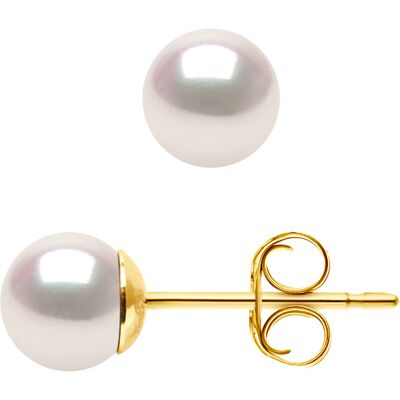 DIADEMA - Ohrringe - Echte japanische Akoya Zuchtperle - Qualität AA+ Weiß Einheitsgröße DIADEMA - Ohrringe - Echte japanische Akoya Zuchtperle - Qualität AA+ Weiß Einheitsgröße