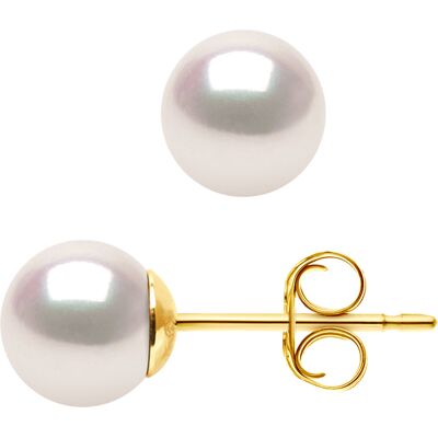 DIADEMA - Ohrringe - Echte japanische Akoya Zuchtperle - Qualität AA+ Weiß Einheitsgröße DIADEMA - Ohrringe - Echte japanische Akoya Zuchtperle - Qualität AA+ Weiß Einheitsgröße