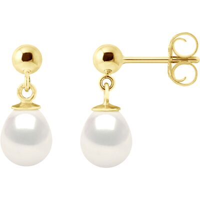 Ateliers Saint Germain Ohrringe aus Gelbgold und echten Süßwasser-Zuchtperlen, Birne 7–8 mm Gelb Einheitsgröße Ateliers Saint Germain Ohrringe aus Gelbgold und echten Süßwasser-Zuchtperlen, Birne 7–8 mm Gelb Einheitsgröße