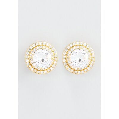 U.S. Polo Assn US Polo Assn Jewellery Ohrringe aus Cristal-Gelbgold Weiß & Gold Einheitsgröße U.S. Polo Assn US Polo Assn Jewellery Ohrringe aus Cristal-Gelbgold Weiß & Gold Einheitsgröße