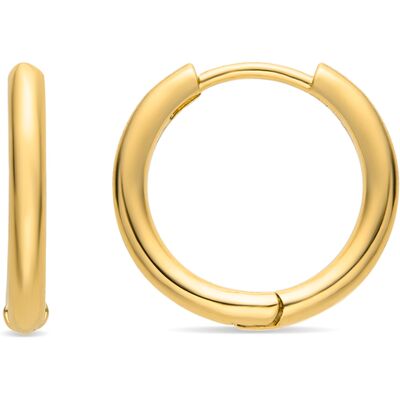 Luxenter Ohrringe mit 18 Karat Goldauflage - Nias Gold Einheitsgröße Luxenter Ohrringe mit 18 Karat Goldauflage - Nias Gold Einheitsgröße
