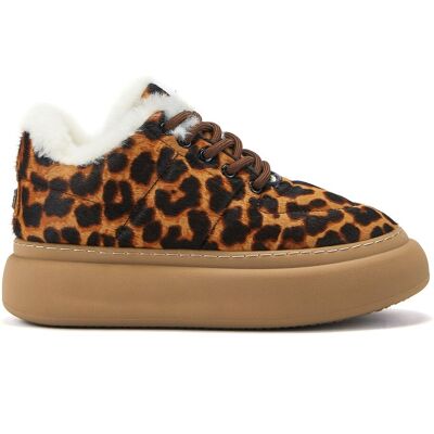Australia Luxe Pyxis Leopard Fashion Sneakers Braun US 39 Australia Luxe Pyxis Leopard Fashion Sneakers Braun US 39