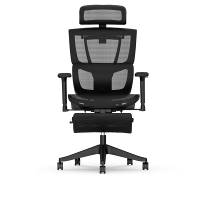 FlexiSpot Vielseitig verstellbarer ergonomischer Stuhl mit geteilter Lordosenstütze FlexiSpot Vielseitig verstellbarer ergonomischer Stuhl mit geteilter Lordosenstütze