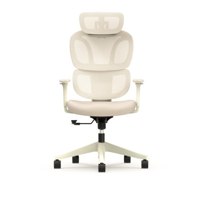 Flexispot Ergonomischer Bürostuhl - Doppelbogen Design BS5 Flexispot Ergonomischer Bürostuhl - Doppelbogen Design BS5