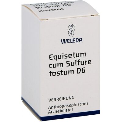 Weleda Equisetum D6 Homöopathisches Arzneimittel Weleda Equisetum D6 Homöopathisches Arzneimittel