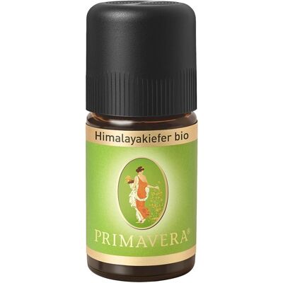 Primavera® Himalayakiefer ätherisches Öl Primavera® Himalayakiefer ätherisches Öl