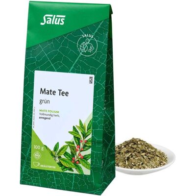 Mate Grün Kräutertee Mate folium bio Salus Mate Grün Kräutertee Mate folium bio Salus