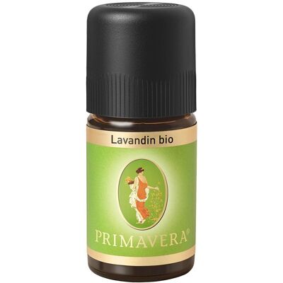 Primavera® Lavandin ätherisches Öl Primavera® Lavandin ätherisches Öl