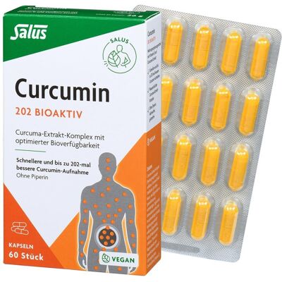 Salus Curcumin 202 Bioaktiv Kapseln Salus Curcumin 202 Bioaktiv Kapseln