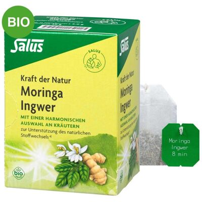 Moringa Ingwer Kräutertee Kraft der Natur Salus Moringa Ingwer Kräutertee Kraft der Natur Salus