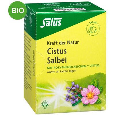 Salus Cistus Salbei Tee – Bio-Kräutertee für genussvolle Momente Salus Cistus Salbei Tee – Bio-Kräutertee für genussvolle Momente