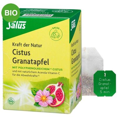 Salus Cistus Granatapfel – Bio-Kräutertee für genussvolle Moment Salus Cistus Granatapfel – Bio-Kräutertee für genussvolle Moment
