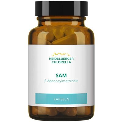 Sam S-adenosylmethionin Kapseln Sam S-adenosylmethionin Kapseln