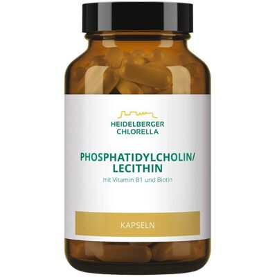 Phosphatidylcholin/Lecithin Kapseln Phosphatidylcholin/Lecithin Kapseln