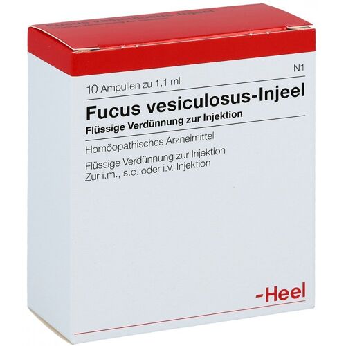 Fucus Vesiculosus Injeel Ampullen