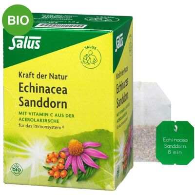 Echinacea Sanddorn Tee Kraft der Natur Salus Fi.b. Echinacea Sanddorn Tee Kraft der Natur Salus Fi.b.