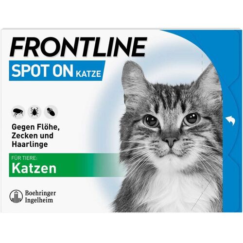 FRONTLINE SPOT ON Katze